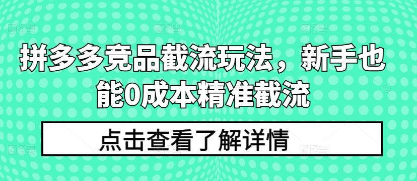 拼多多竞品截流玩法，新手也能0成本精准截流-指尖网