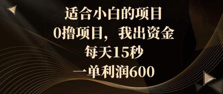 适合小白的项目，0撸项目，我出资金，每天15秒，一单利润600-指尖网