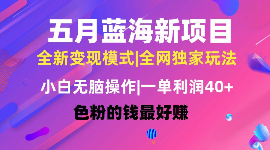 五月蓝海项目全新玩法，小白无脑操作，一天几分钟，矩阵操作，月入4万+-指尖网