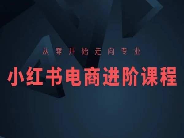 从零开始走向专业，小红书电商进阶课程-指尖网