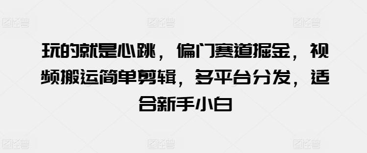 玩的就是心跳，偏门赛道掘金，视频搬运简单剪辑，多平台分发，适合新手小白【揭秘】-指尖网