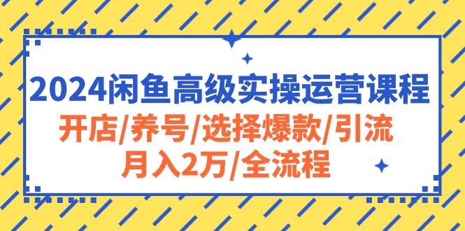 2024闲鱼高级实操运营课程：开店/养号/选择爆款/引流/月入2万/全流程-指尖网