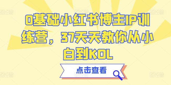 0基础小红书博主IP训练营，37天天教你从小白到KOL-指尖网