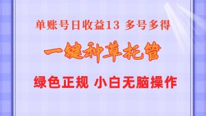 一键种草托管 单账号日收益13元  10个账号一天130  绿色稳定 可无限推广-指尖网