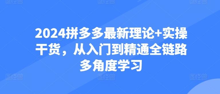 2024拼多多最新理论+实操干货，从入门到精通全链路多角度学习-指尖网