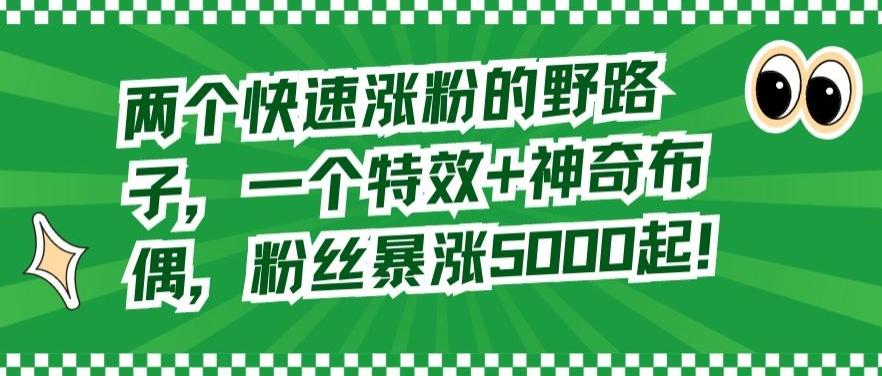 两个快速涨粉的野路子，一个特效+神奇布偶，粉丝暴涨5000起【揭秘】-指尖网