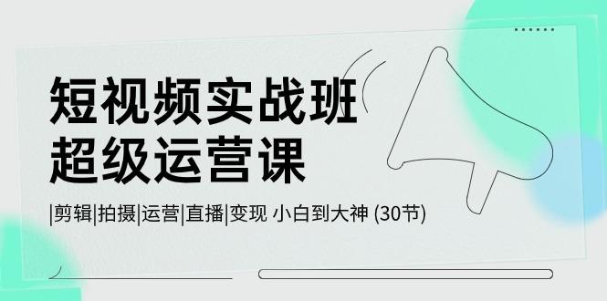 短视频实战班超级运营课 |剪辑|拍摄|运营|直播|变现 小白到大神 (30节)-指尖网