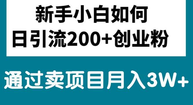 新手小白日引流200+创业粉,通过卖项目月入3W+-指尖网