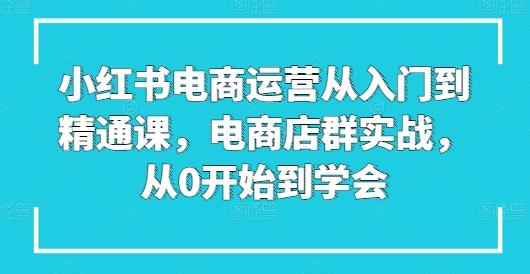 小红书电商运营从入门到精通课，电商店群实战，从0开始到学会-指尖网