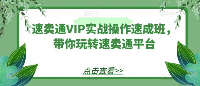 速卖通VIP实战操作速成班，带你玩转速卖通平台-指尖网