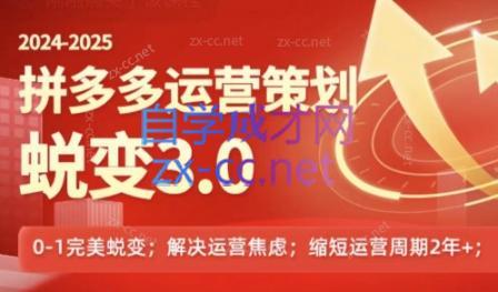 大力老师·2024拼多多运营策略蜕变3.0-指尖网