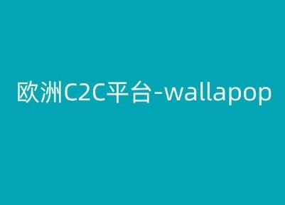 欧洲C2C平台-wallapop-kim跨境电商教程-指尖网