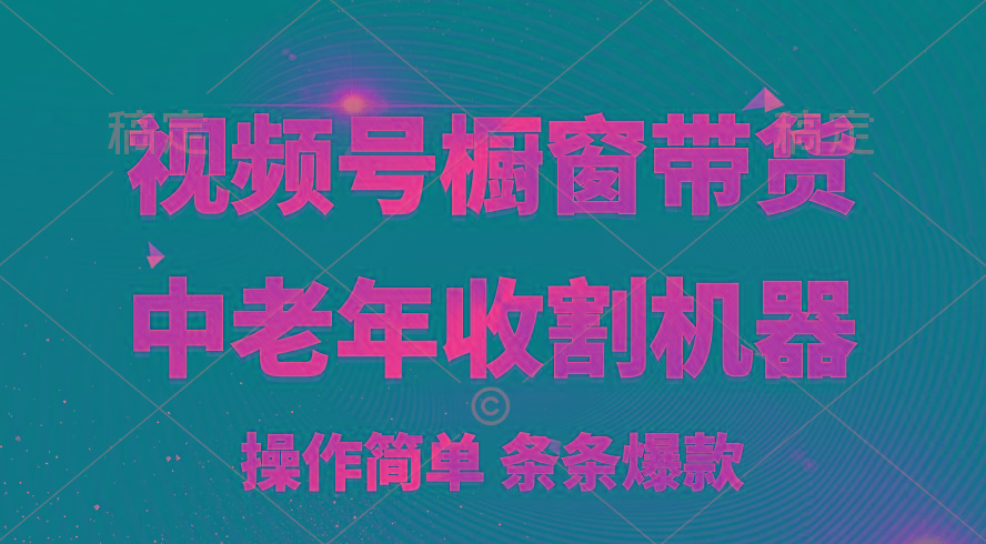 [你的孩子成功取得高位]视频号最火爆赛道，橱窗带货，流量分成计划，条...-指尖网