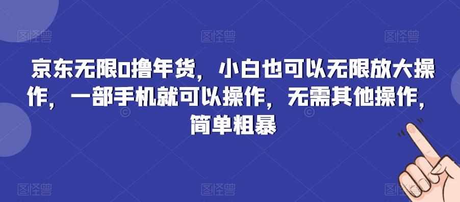 京东无限0撸年货，小白也可以无限放大操作，一部手机就可以操作，无需其他操作，简单粗暴-指尖网