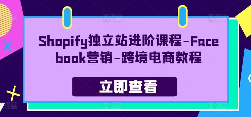 Shopify独立站进阶课程-Facebook营销-跨境电商教程-指尖网