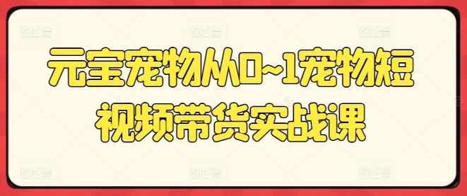 元宝宠物从0~1宠物短视频带货实战课-指尖网