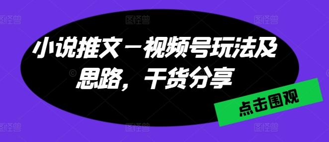 小说推文—视频号玩法及思路，干货分享-指尖网