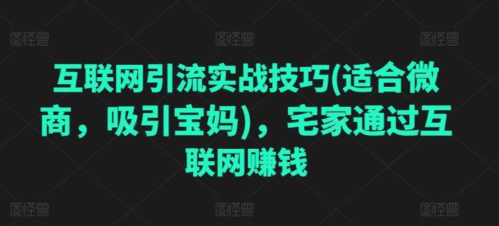 互联网引流实战技巧(适合微商，吸引宝妈)，宅家通过互联网赚钱-指尖网