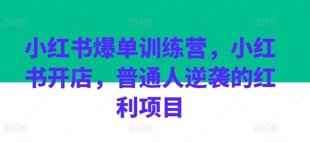 小红书爆单训练营，小红书开店，普通人逆袭的红利项目-指尖网