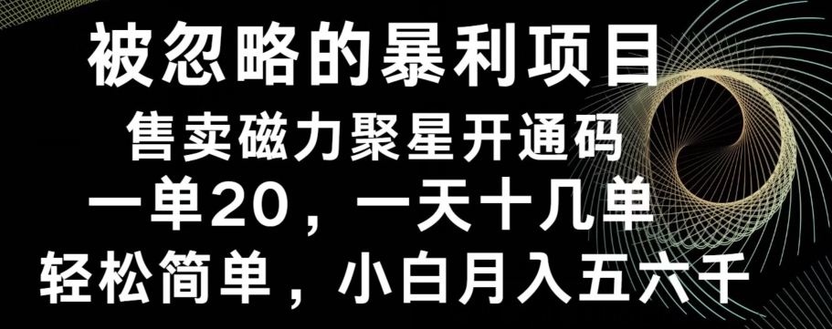 被忽略的暴利项目！售卖磁力聚星开通码，一单20，一天十几单，轻松月入五六千-指尖网