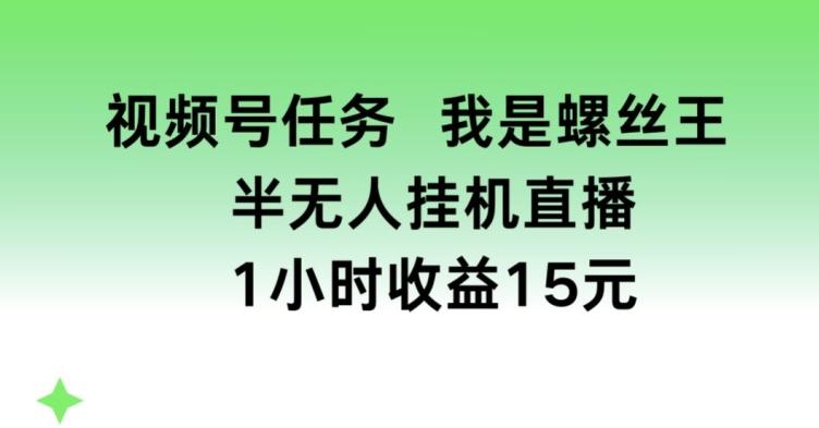 视频号任务，我是螺丝王， 半无人挂机1小时收益15元【揭秘】-指尖网