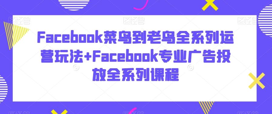 Facebook菜鸟到老鸟全系列运营玩法+Facebook专业广告投放全系列课程-指尖网