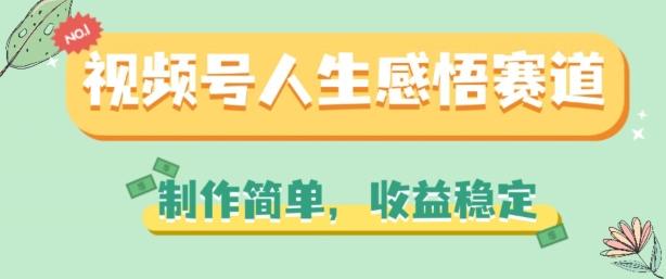 视频号人生感悟赛道，制作简单，收益稳定【揭秘】-指尖网