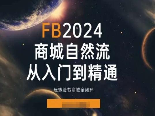 2024Faceboo商城自然流(从入门到精通)，玩转脸书商城全闭环-指尖网