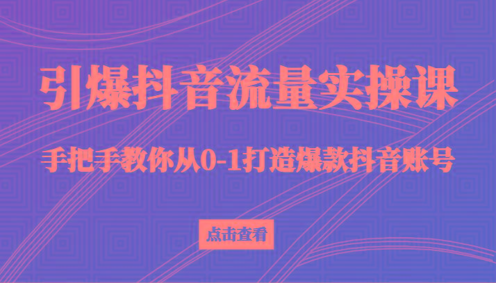 引爆抖音流量实操课，手把手教你从0-1打造爆款抖音账号(27节课)-指尖网