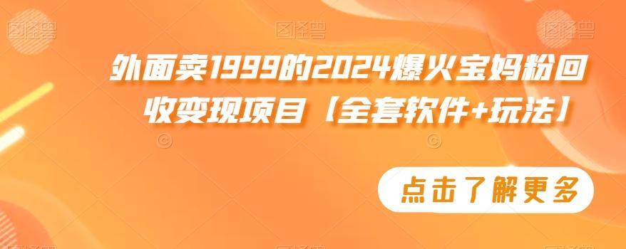 外面卖1999的2024爆火宝妈粉回收变现项目【全套软件+玩法】【揭秘】-指尖网