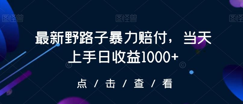 最新野路子暴力赔付，当天上手日收益1000+【仅揭秘】-指尖网