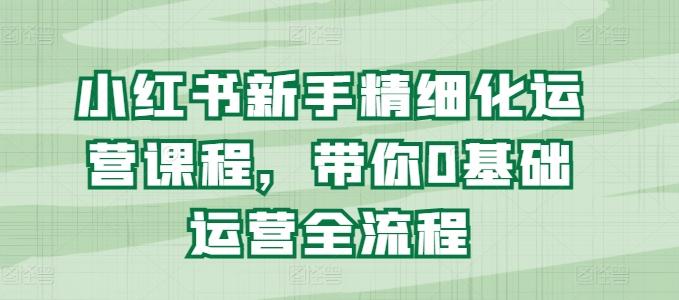 小红书新手精细化运营课程，带你0基础运营全流程-指尖网