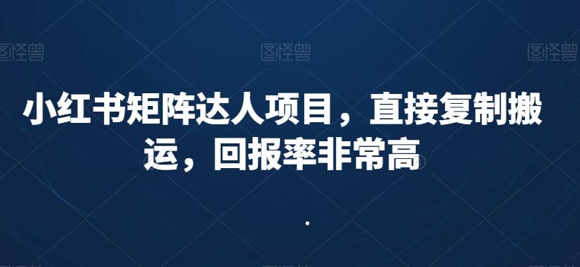 小红书矩阵达人项目，直接复制搬运，回报率非常高-指尖网