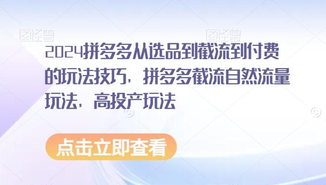 2024拼多多从选品到截流到付费的玩法技巧，拼多多截流自然流量玩法，高投产玩法-指尖网