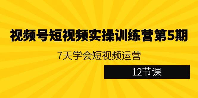 视频号短视频实操训练营第5期：7天学会短视频运营(12节课)-指尖网