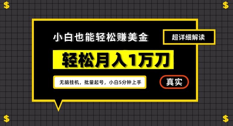 谷歌看广告撸美金2.0，无脑挂机，多号操作，月入1万刀【揭秘】-指尖网