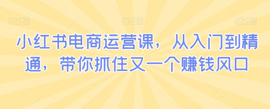 小红书电商运营课，从入门到精通，带你抓住又一个赚钱风口-指尖网