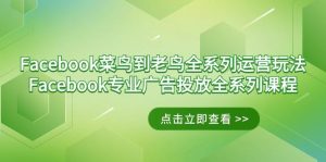 Facebook-菜鸟到老鸟全系列运营玩法+Facebook-专业广告投放全系列课程-指尖网