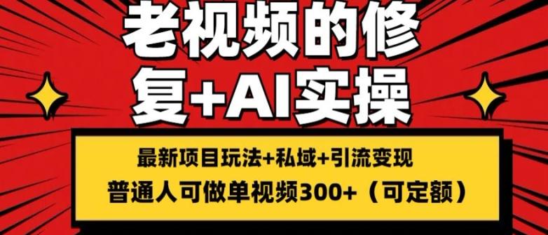 修复老视频的玩法，搬砖+引流的变现(可持久)，单条收益300+【揭秘】-指尖网