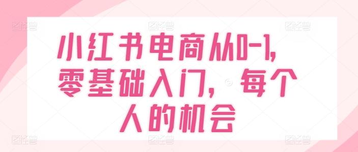 小红书电商从0-1，零基础入门，每个人的机会-指尖网