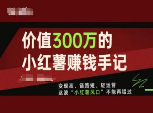 价值300万的小红书赚钱手记，变现高、链路短、轻运营，这波“小红薯风口”不能再错过-指尖网