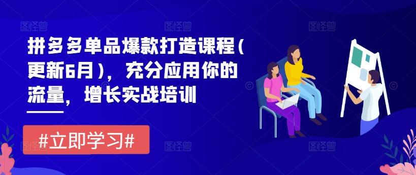 拼多多单品爆款打造课程(更新6月)，充分应用你的流量，增长实战培训-指尖网