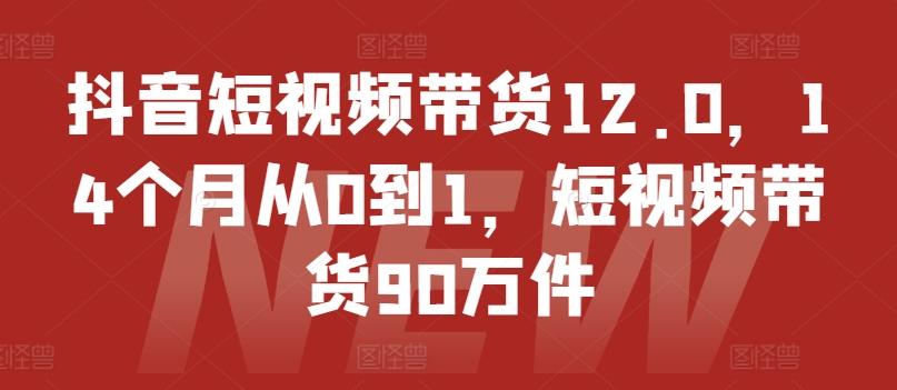 抖音短视频带货12.0，14个月从0到1，短视频带货90万件-指尖网