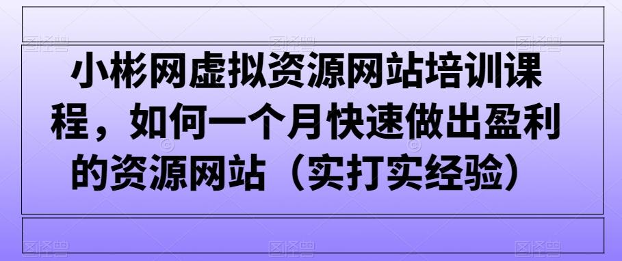 小彬网虚拟资源网站培训课程，如何一个月快速做出盈利的资源网站(实打实经验)-指尖网