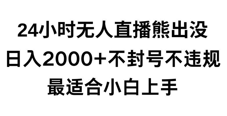 快手24小时无人直播熊出没，不封直播间，不违规，日入2000+，最适合小白上手，保姆式教学【揭秘】-指尖网