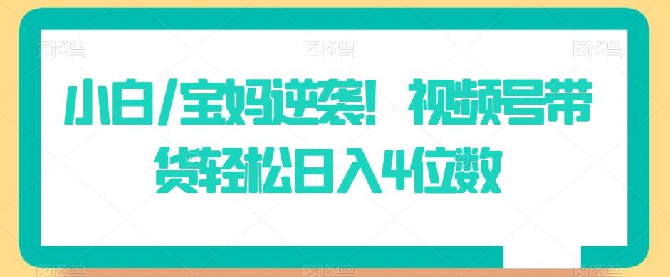 小白/宝妈逆袭！视频号带货轻松日入4位数【揭秘】-指尖网