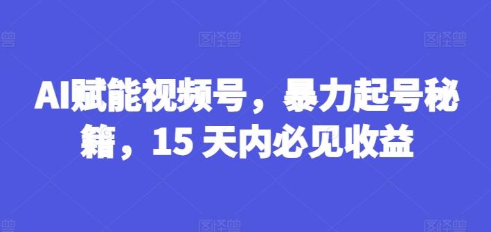 AI赋能视频号，暴力起号秘籍，15 天内必见收益【揭秘】-指尖网