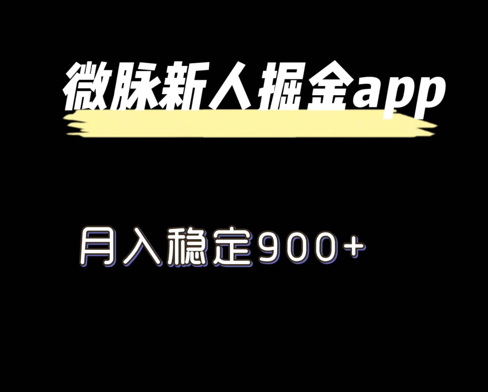 最新微脉长久项目，拉新掘金，月入稳定900+-指尖网