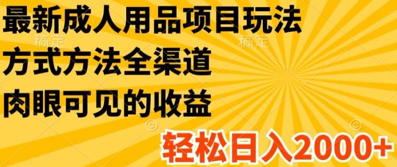 最新成人用品项目玩法，方式方法全渠道，轻松日入2K+【揭秘】-指尖网