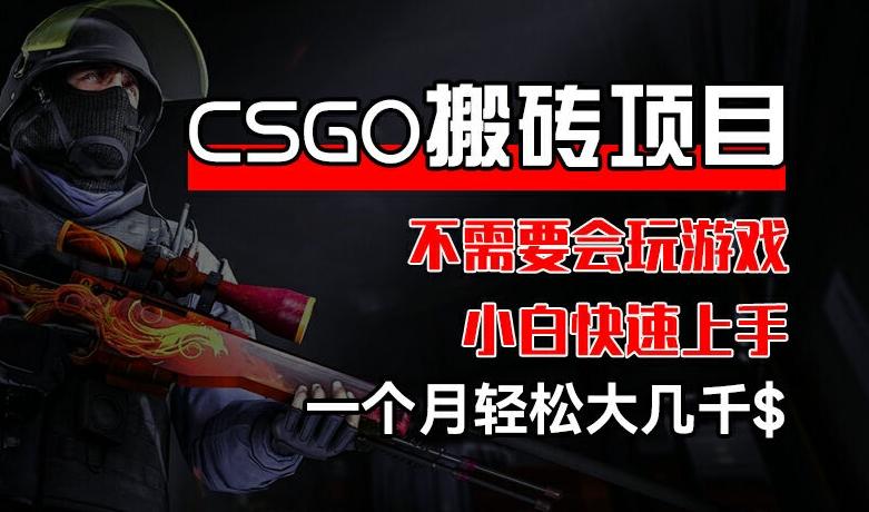 CSGO 装备搬砖项目，操作简单，不需要会玩游戏，小白也能快速上手，一个月轻松大几千【揭秘】-指尖网